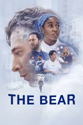 The Bear 5 [8/8] ITA Streaming