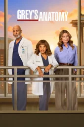Grey's Anatomy 22 [17/18] ITA Streaming (In Corso)